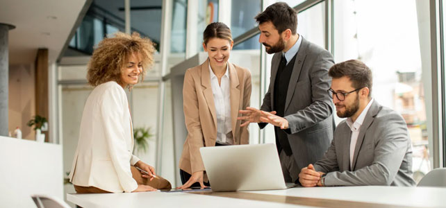 Consultation process